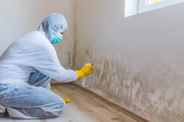 Licensed Mold Testing service in Chapel Hill, NC - WQB Mold Removal