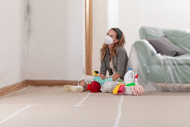 Reliable Mold Testing contractor in Chapel Hill, NC by WQB Mold Removal