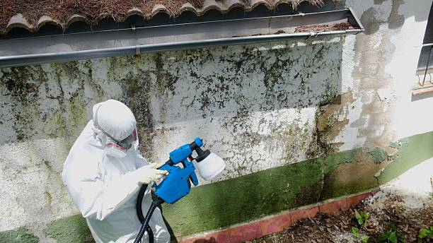 Top rated local Mold Testing specialists in Chapel Hill, NC